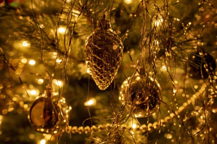 christmas-tree-6924746_1280